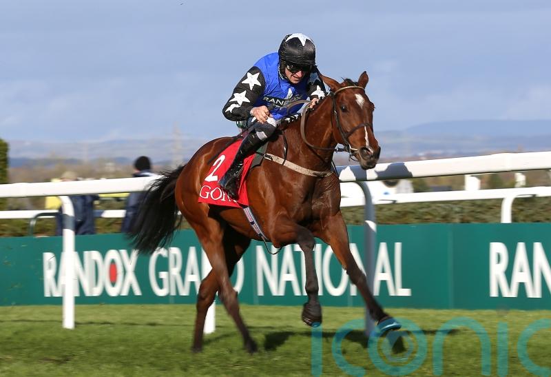 Ashroe Diamond on course to sparkle at Cheltenham