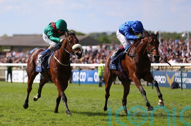 Mawj may have Stateside spin after Meydan blip