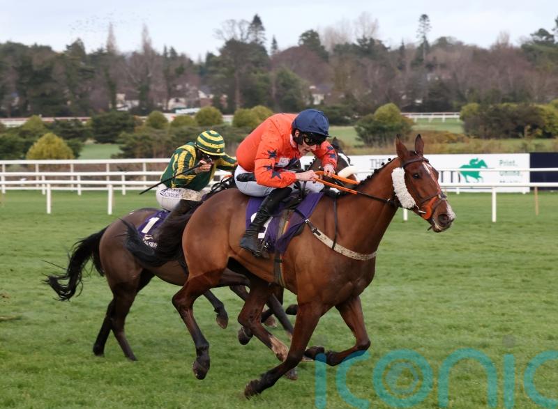 Madara team turn attention to Cheltenham glory