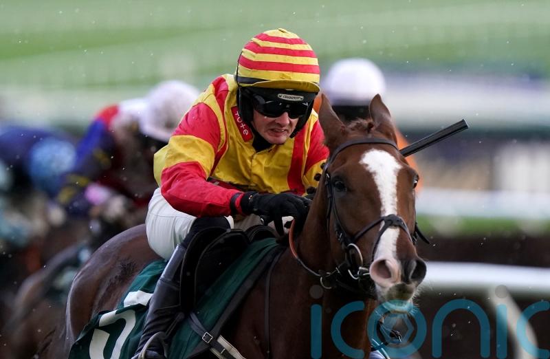 Lookaway firmly on course for Betfair Hurdle bid