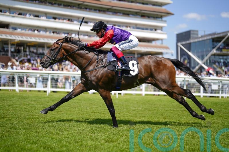 Reach For The Moon under the spotlight at Sedgefield