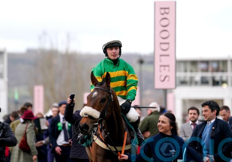 Iroko team working towards Festival target