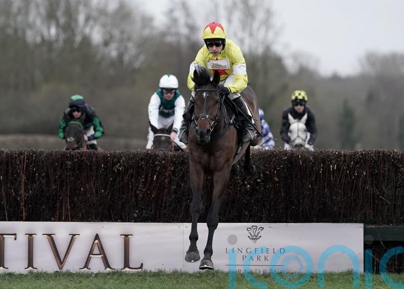 Skelton happy to face Shishkin test with Protektorat