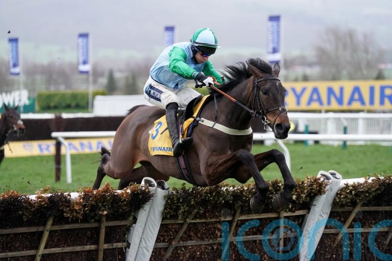 You Wear It Well poised to put weather woes behind her