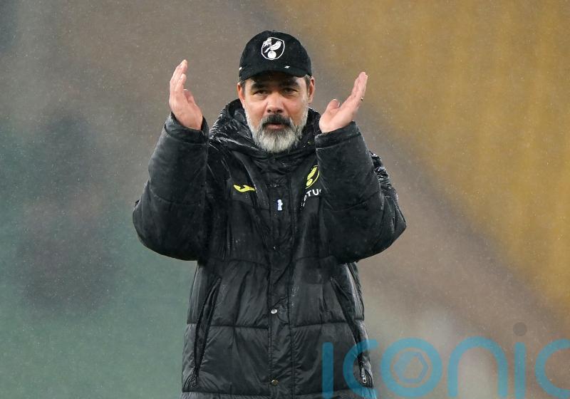 David Wagner lauds Norwich display in convincing win over Cardiff