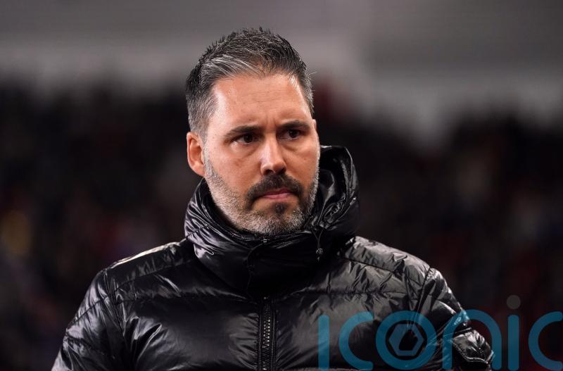 Marti Cifuentes confident QPR have the spirit to escape relegation battle