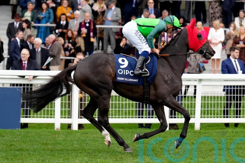 Verry Elleegant dies due to foaling complications