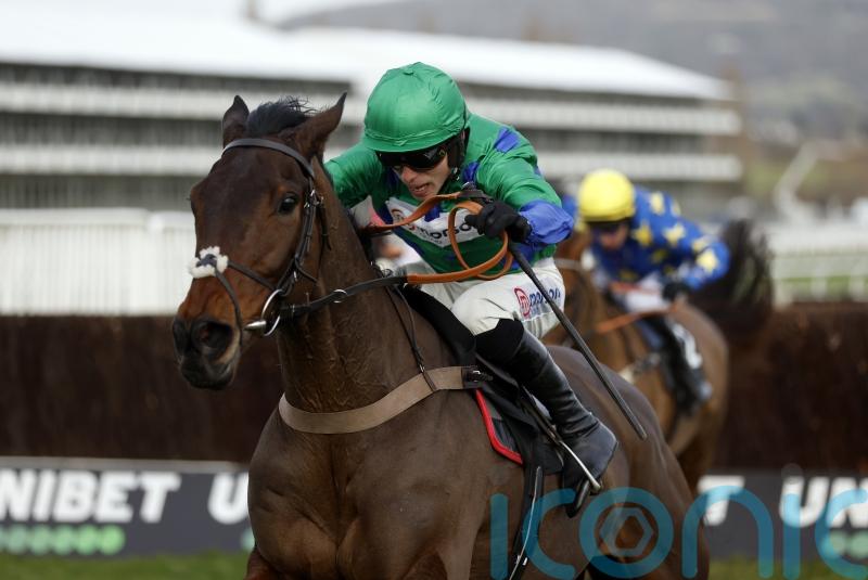 Nicholls excited by Cheltenham novice chase pair