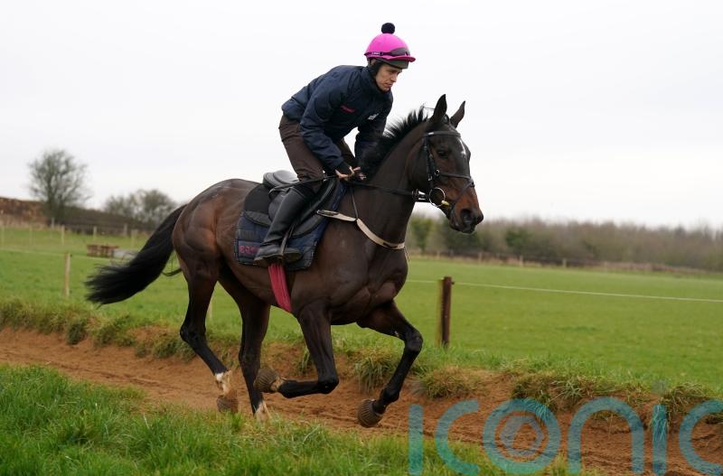 Dysart Enos delighting in countdown to Cheltenham