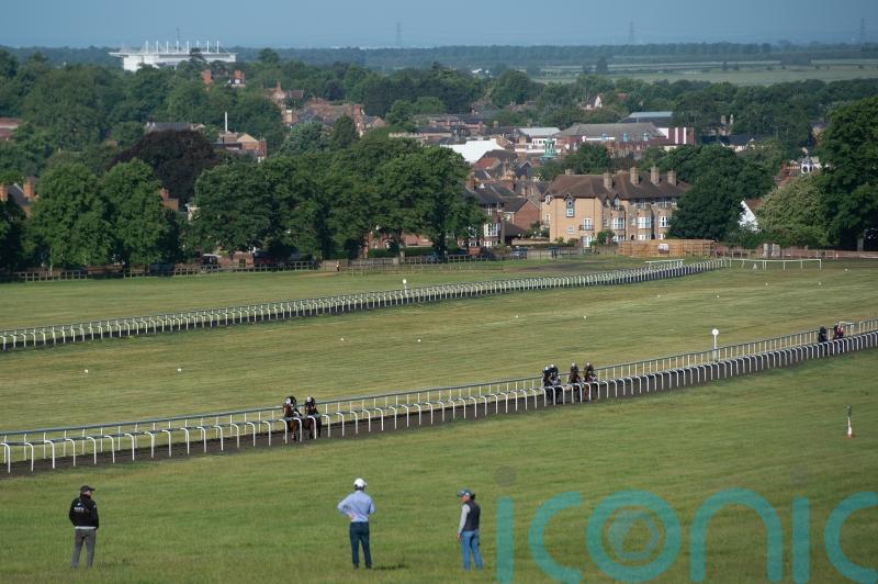 Trainer Support Network secures charity funding