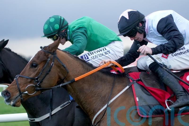 Hopes high Teahupoo has what it takes for Stayers&rsquo; Hurdle gold