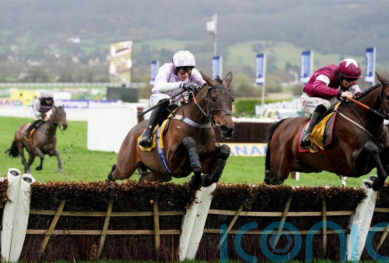 Jeremy Scott keeping options open for Cheltenham winner Golden Ace