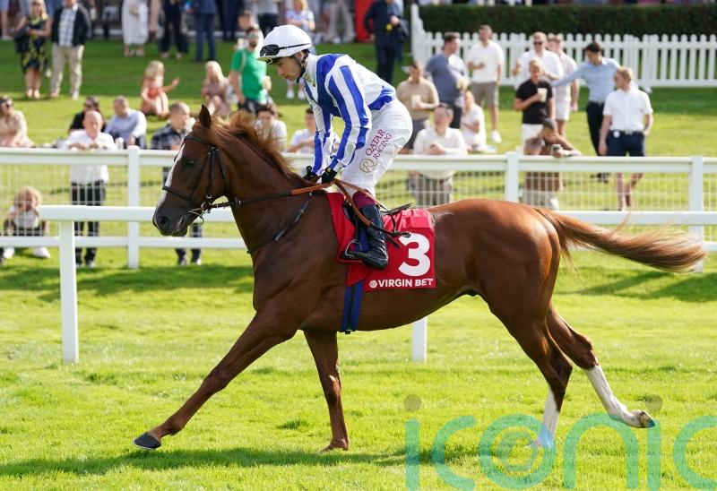 David Menuisier targets big French races with Sunway and Devil&rsquo;s Point