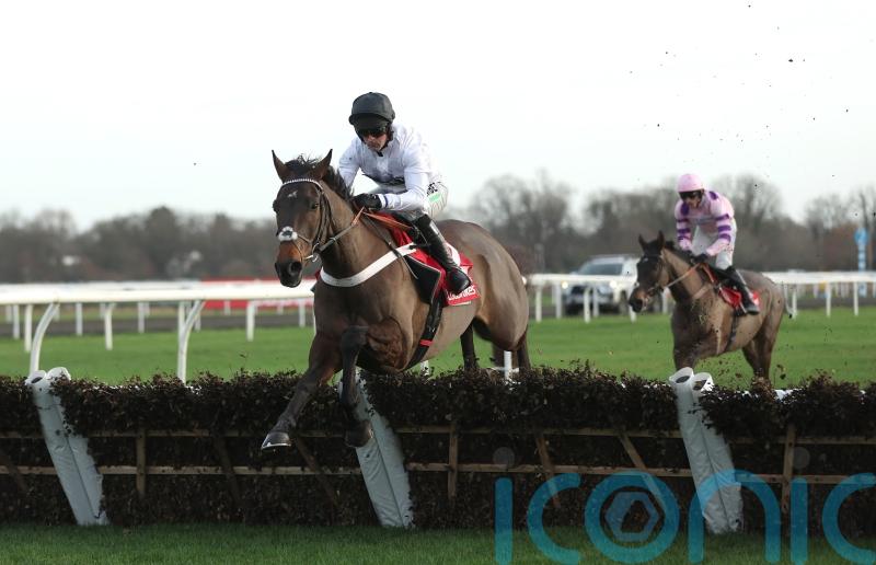 Much-improved Constitution Hill could come into Punchestown picture