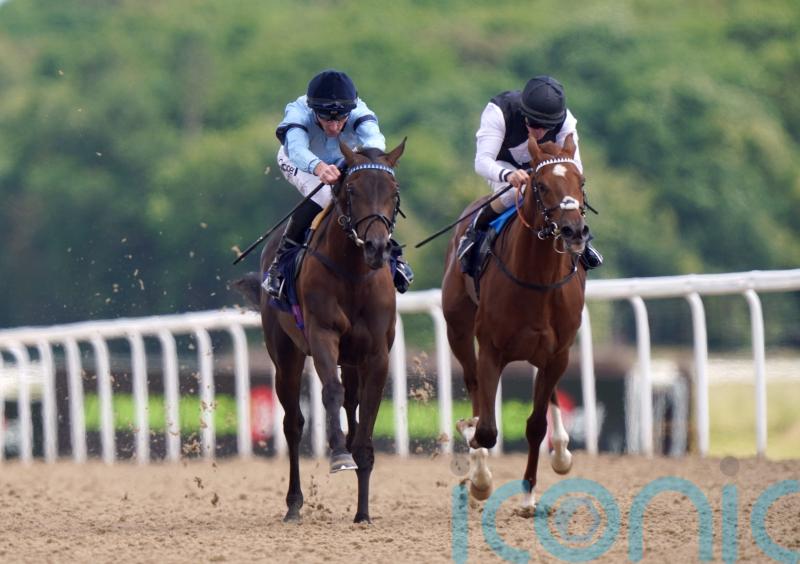 French Guineas goal for Chic Colombine