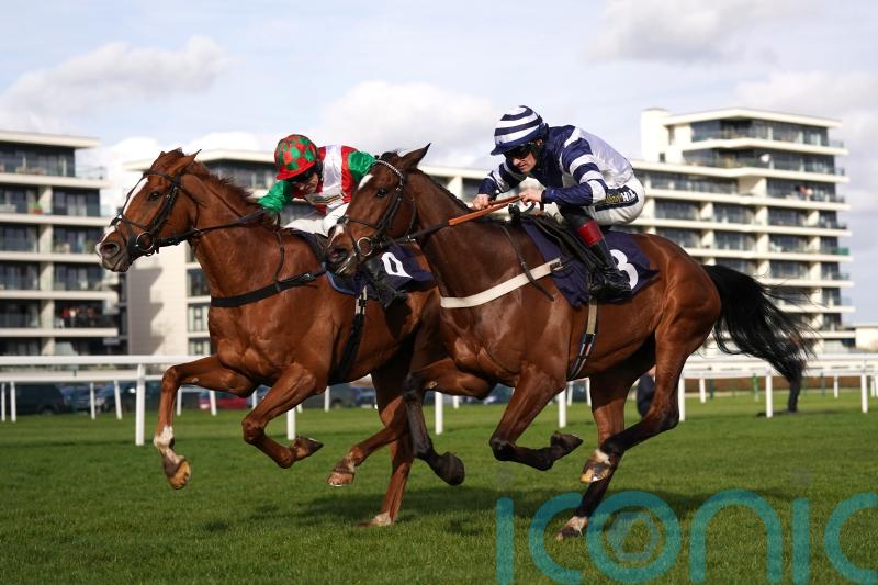 Doyen Quest delivers for Skelton team at Newbury