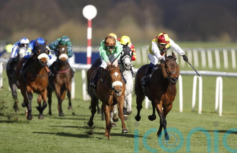 Knebworth puts up winning performance at Doncaster