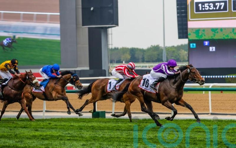 Tower Of London swoops late and fast to strike Gold