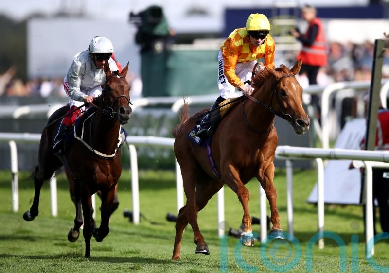 Course regular Sleeping Lion could hand Charlton notable win