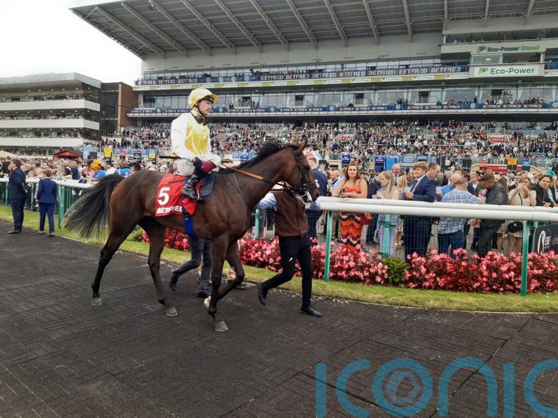 Sunway in &lsquo;good place&rsquo; for ParisLongchamp raid