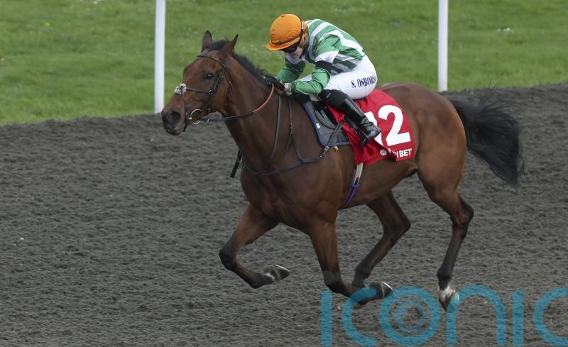 Duty Of Care powers clear for emphatic Queen&rsquo;s Prize victory