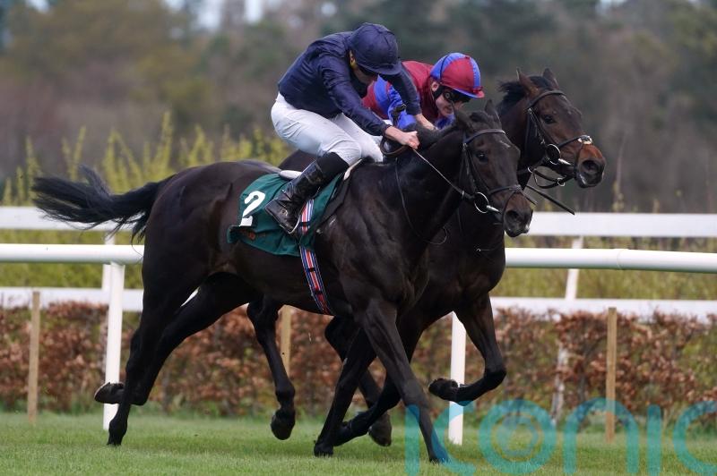 Battle Cry swoops late for Leopardstown honours