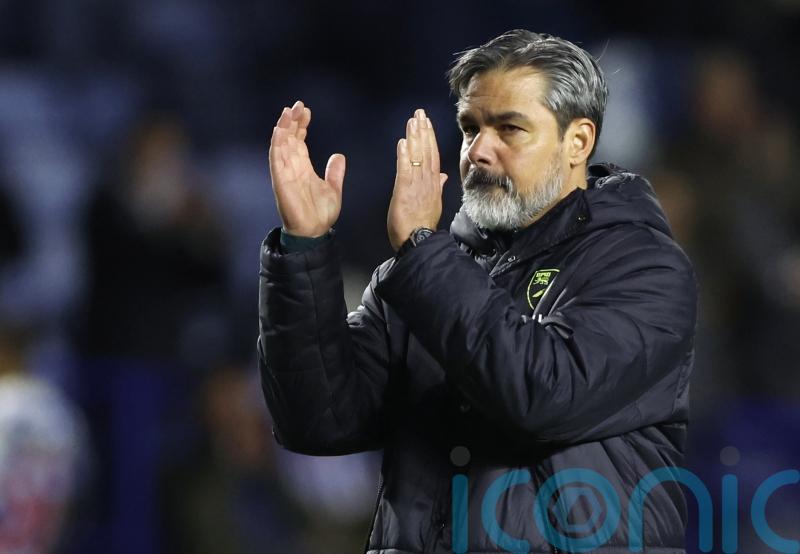 Norwich &lsquo;not ruthless&rsquo; enough in Sheffield Wednesday draw &ndash; David Wagner