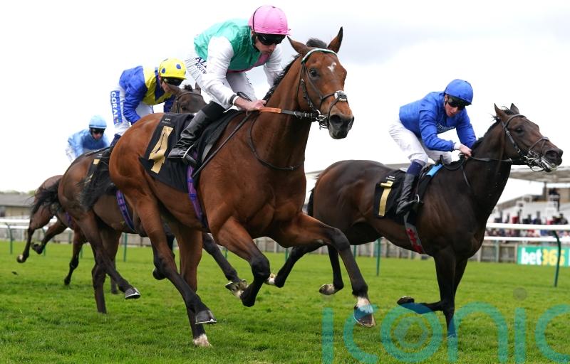 Frankel sibling Kikkuli upholds family honour at Newmarket