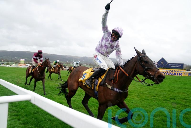 Golden Ace steps up for Cheltenham Listed assignment