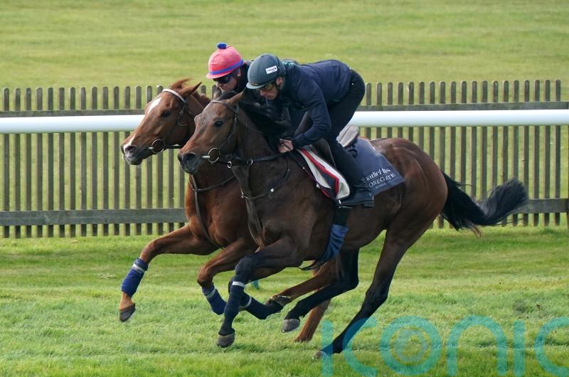 Charlie Hills still harbours Group One hopes for Cicero&rsquo;s Gift