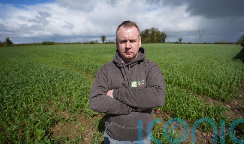 Tillage farmers worry about future after heavy rain and a &lsquo;pear-shaped&rsquo; 2023