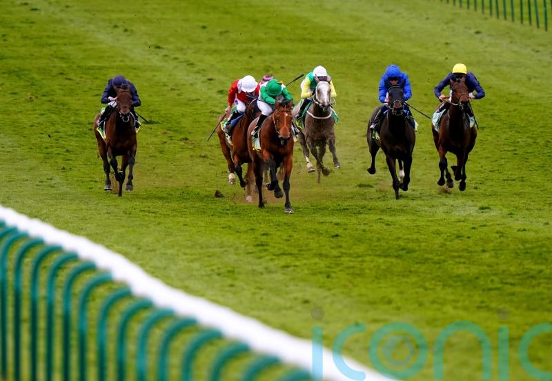 Andre Fabre left wondering if ground was behind Newmarket disappointment