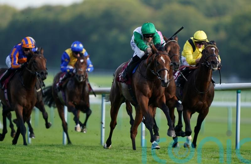 Al Musmak aiming to outrun Guineas odds