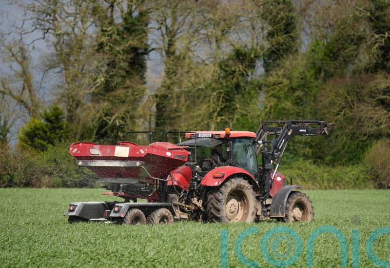 Wheat, barley and oat production declined by a fifth in 2023 &ndash; CSO