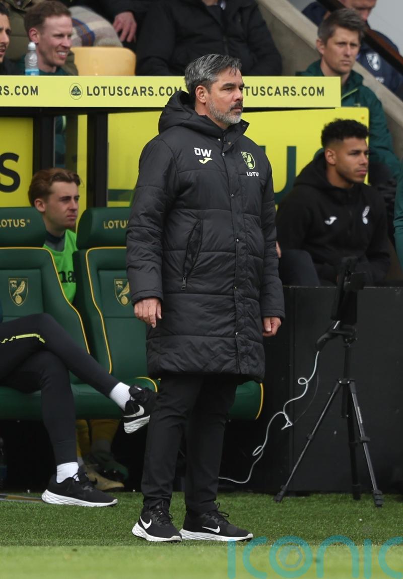 David Wagner admits Norwich were &lsquo;not clinical enough&rsquo; in draw with Swansea