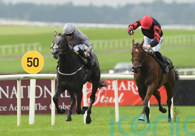 Burke confident Fallen Angel will stay Guineas trip