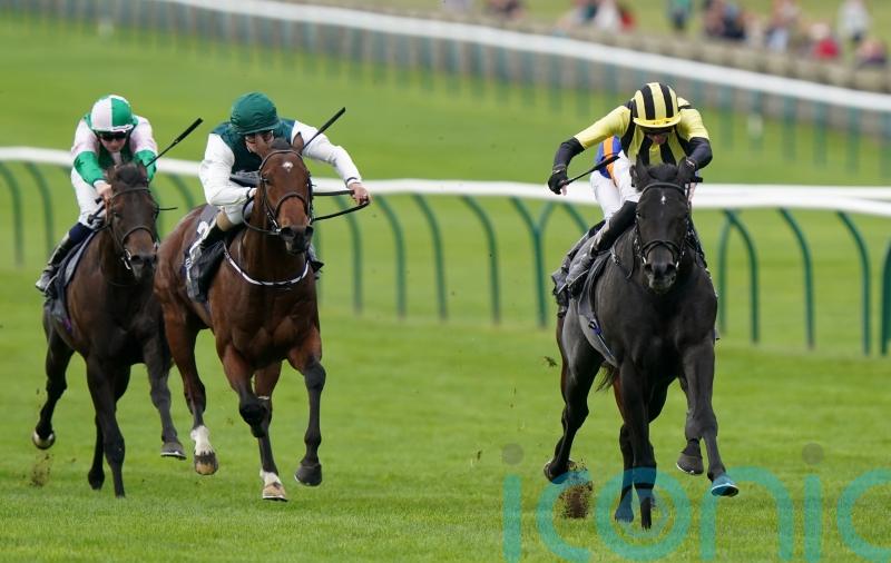 Vandeek on course for Haydock return