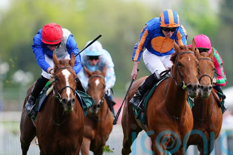 Forest pips Port in Cheshire Oaks Fairy-tale