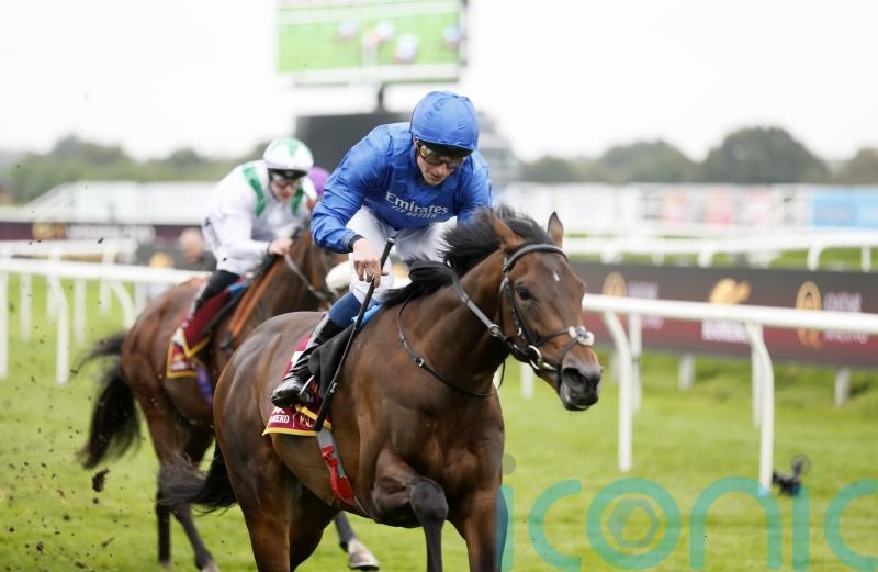 Ancient Wisdom heads Dante dozen at York on Thursday