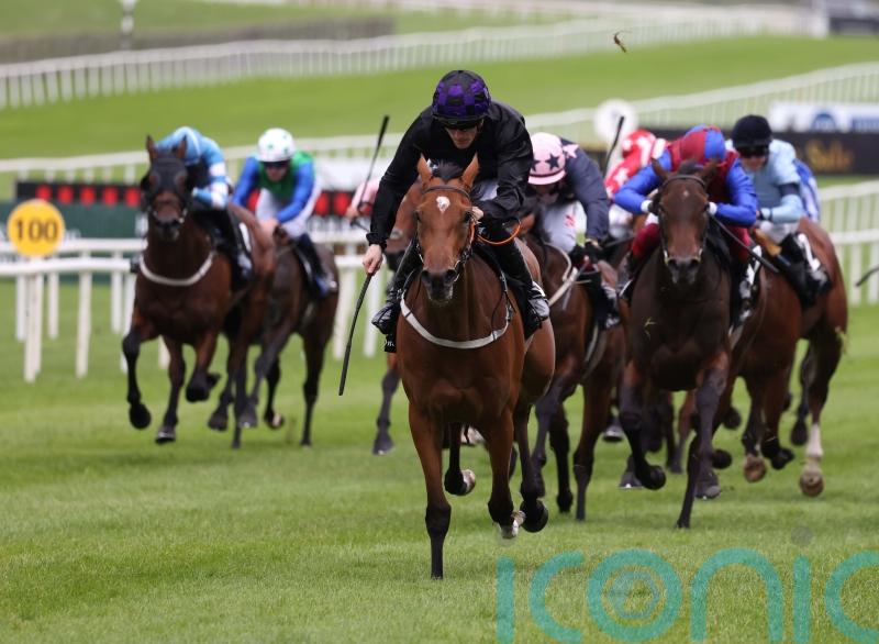 One Look primed for Classic trial at Leopardstown