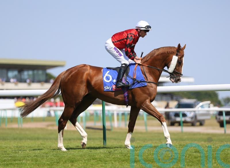 Wizard weaves his magic for Fellowes and Marquand at Ascot