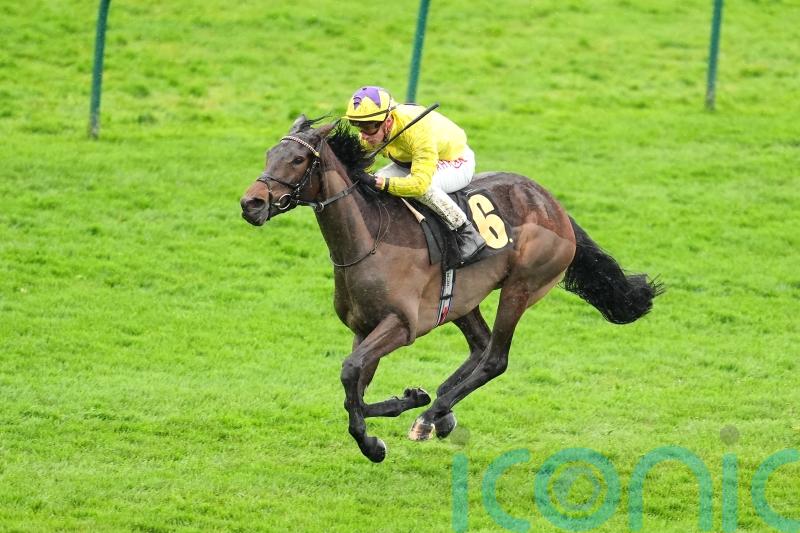 Haggas weighing up options for Sea Just In Time