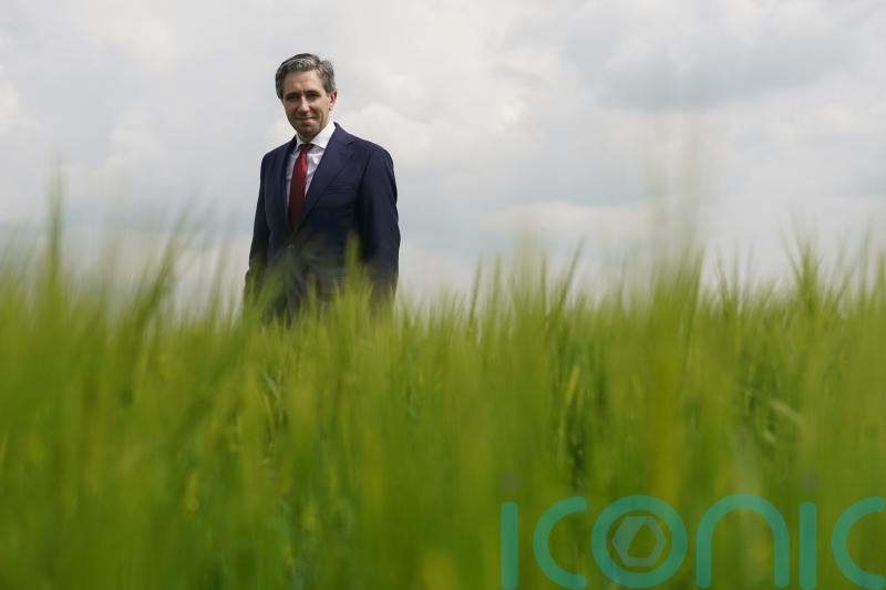 No need to reduce cattle numbers to hit carbon emissions target &ndash; Taoiseach