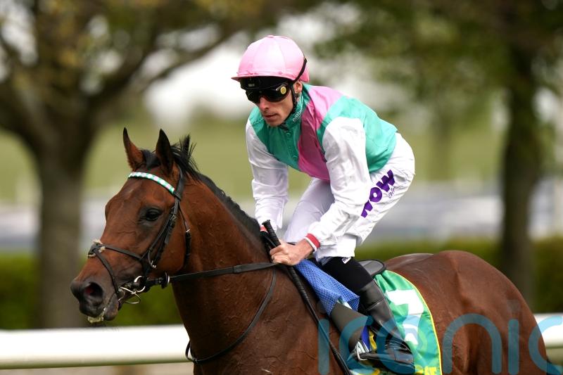 Lead Artist takes starring role at York