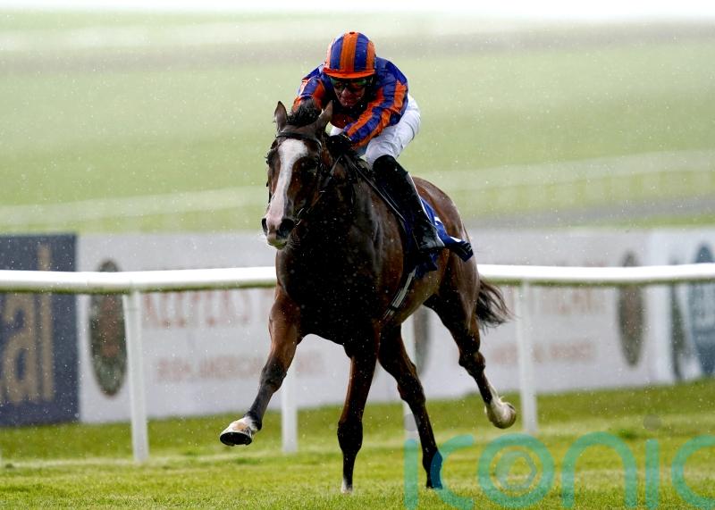 Opera Singer in line for Irish Guineas return