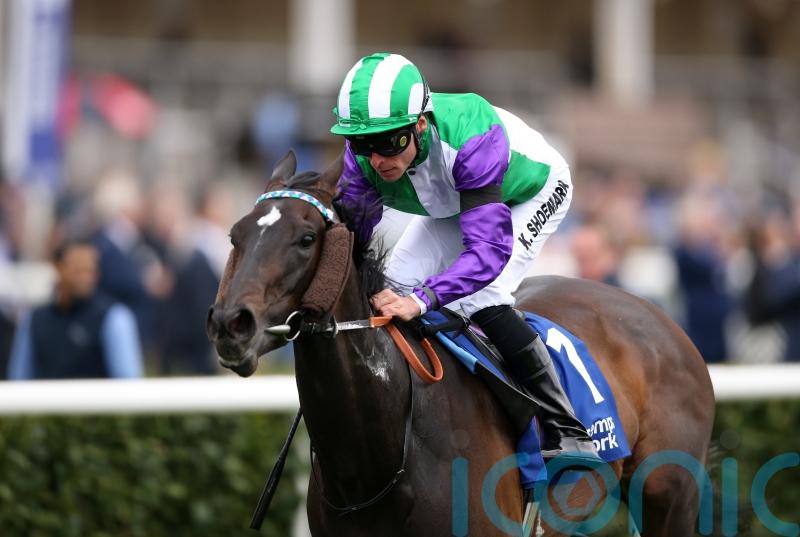 Fellowes expecting bold Temple bid from Vadream