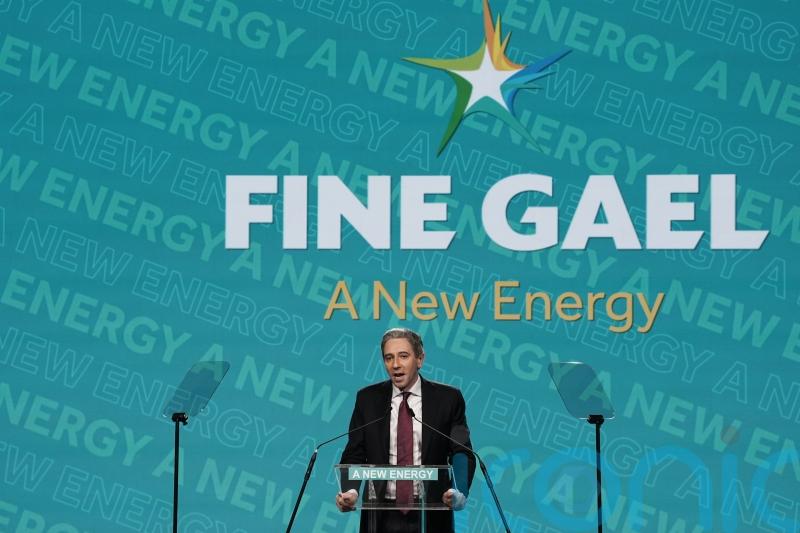 Fine Gael candidate drops out after planning allegations