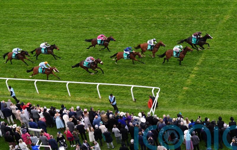 Dream Composer hits the right notes in Epsom Dash