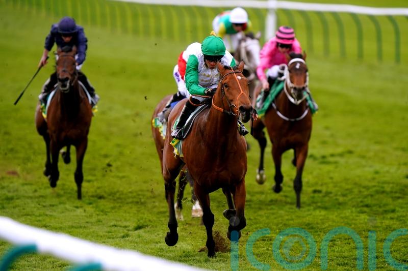 Wathnan splash the cash in search of more Royal Ascot glory