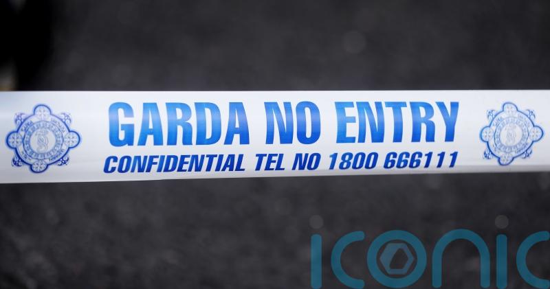 Pit bull terrier shot dead after attacking man and woman at house in Cork